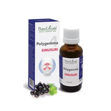 POLYGEMMA nr. 4 sinusuri, 30 ml