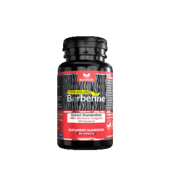 Premium Berberine 600mg, 60 capsule, Boost4Life