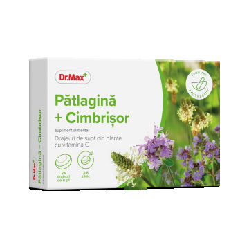 Dr. Max Drajeuri cu patlagina si cimbrisor, 24 drajeuri