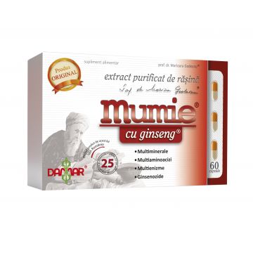 Extract purificat de rasina Mumie cu Ginseng, 60 capsule, Damar
