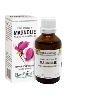 Extract din boboci de magnolia, 50ml, PlantExtrakt