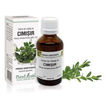 Extract din mladite de cimisir, 50ml, PlantExtrakt