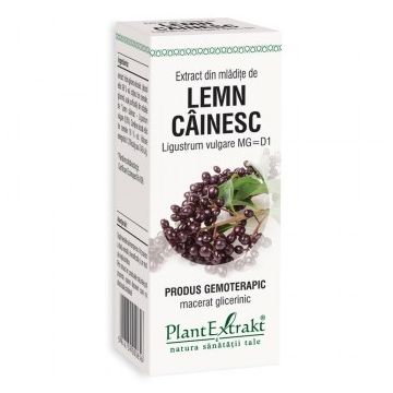 Extract din mladite de lemn cainesc, 50ml, PlantExtrakt