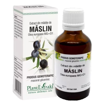 Extract din mladite de Maslin, 50ml, PlantExtrakt