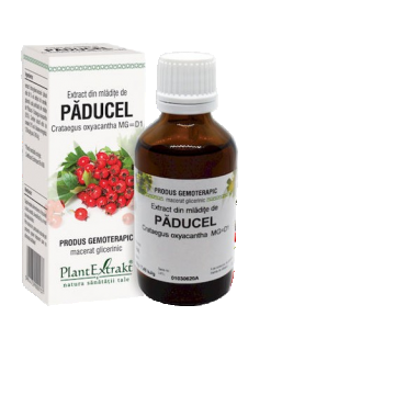 Extract din mladite de paducel, 50ml, PlantExtrakt