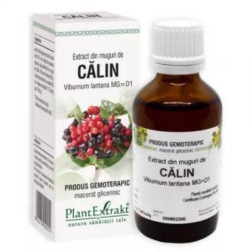 Extract din muguri de Calin, 50ml, PlantExtrakt