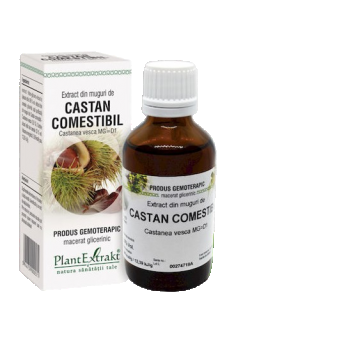 Extract din muguri de castan comestibil, 50ml, PlantExtrakt