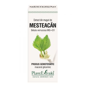 Extract din muguri de mesteacan, 50ml, PlantExtrakt