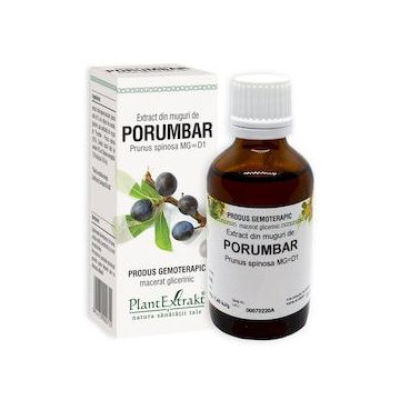 Extract din muguri de Porumbar, 50ml, PlantExtrakt