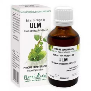 Extract din muguri de ulm, 50ml, PlantExtrakt