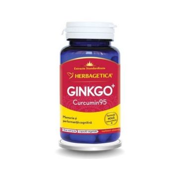 Ginkgo + Curcumin 95, 120 capsule