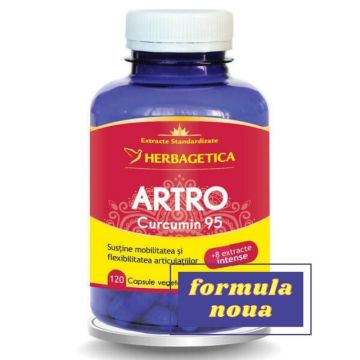 HERBAGETICA Artro Curcumin 95, 120 capsule