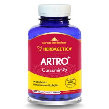 HERBAGETICA Artro + Curcumin 95, 60 capsule