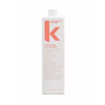 Sampon pentru protectia culorii, Kevin Murphy Everlasting Colour Wash (Concentratie: Sampon, Gramaj: 40 ml)