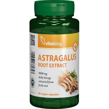 Extract de Astragalus, 90 capsule vegetale, Vitaking