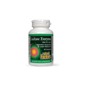 Lactase enzyme - lactaza 60cps NATURAL FACTORS