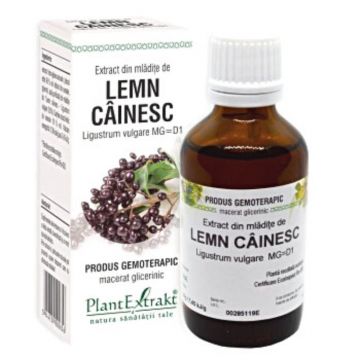 PLE Extract din Mladite lemn cainesc, detoxifiere, 50 ml