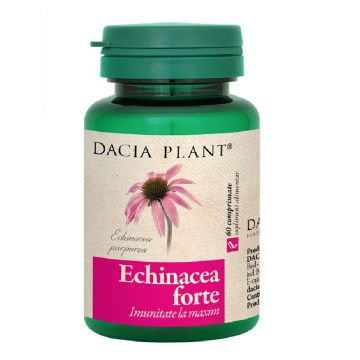 Echinacea Forte Dacia Plant x 60cp Echinacea Forte Dacia Plant x 60cp