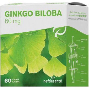 Nefdésanté GINGKO BILOBA 60 mg 60 capsule