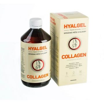 Silvita HYALGEL COLLAGEN sirop cu aromă de portocale 500 ml