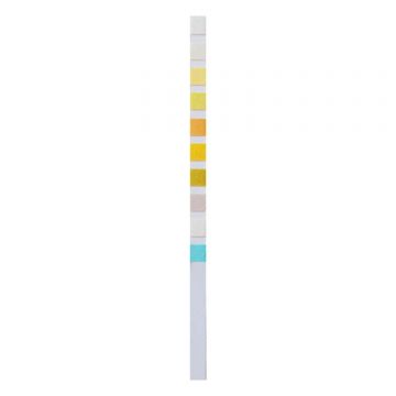 Home Laboratory URS 10 General Urinalysis, test la domiciliu pentru parametrii urinei, 2 unități