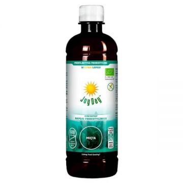Joy Day Probiotic drink concentrat, Mentă, Bio, 500 ml