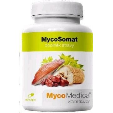Mycomedica Mycosomat Vegan 500mg 90cps 1×90 cps