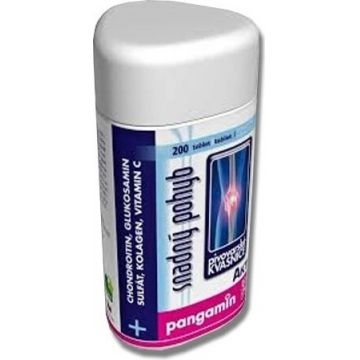 PANGAMIN ACTIV 1×200 tbl (borcan)