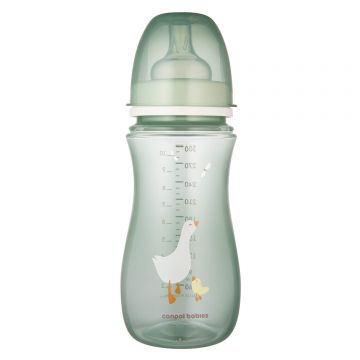 Canpol Babies EasyStart, anti-colică, sticlă cu gura largă, Goose, de la 12 luni, 300 ml