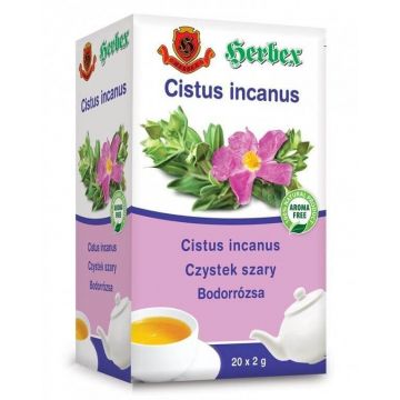 Herbex Cistus incanus (trandafir sălbatic) 20 x 2 g