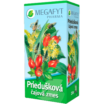 Megafyt Bronchial Tea Blend pungi de ceai 20 x 1,5 g