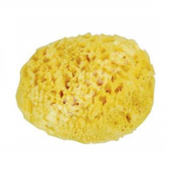 Burete natural de mare Honeycomb Spugnificio Bellini nr.12, 1 bucata, Dr. Brown's