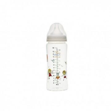Biberon din sticla borosilicat cu gat larg 3 luni+ Baby, 300ml, Minut
