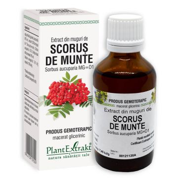 Extract din muguri de Scorus, 50ml, PlantExtrakt