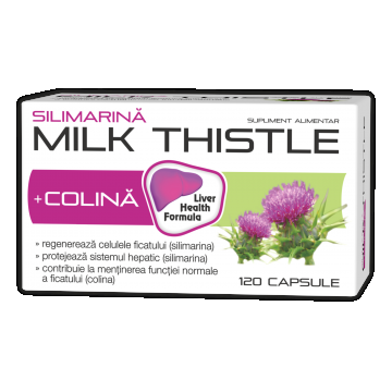 Silimarina Milk Thistle + Colina, 120 capsule, Zdrovit