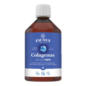 Colagen hidrolizat pentru articulatii Colagenus Articulatii Forte, 500ml, Faunus Plant