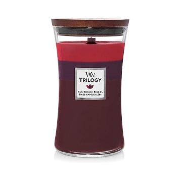 Lumanare Parfumata Warm Woods Trilogy 609.5g Multicolor