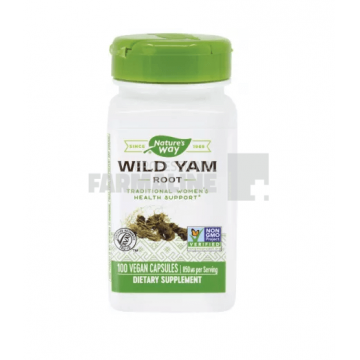 Natures Way Wild Yam Root 100 capsule