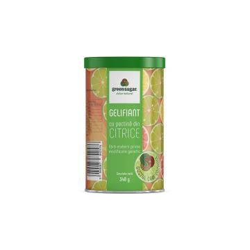 Green sugar gelifiant cu pectina din citrice  340gr REMEDIA