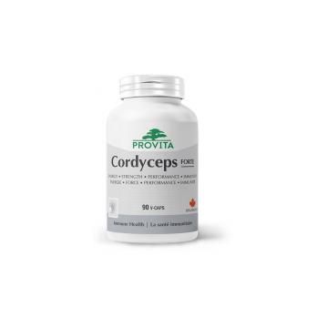 Cordyceps csm 2000 90cps PROVITA