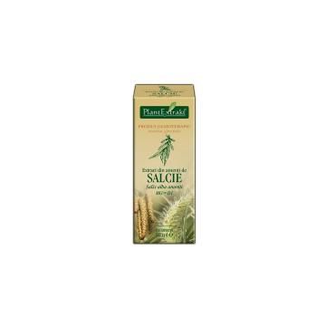 Extract din amenti de salcie - salix alba amenti mg=d1 50ml PLANTEXTRAKT