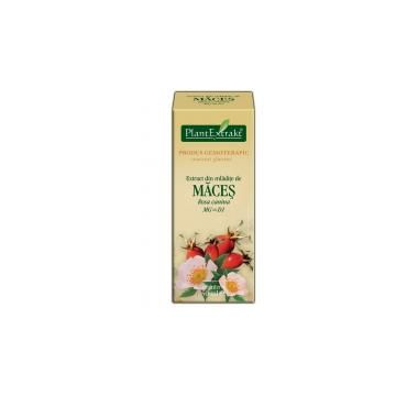 Extract din mladite de maces - rosa canina mg=d1 50ml PLANTEXTRAKT