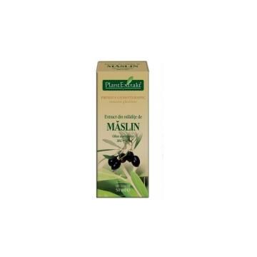 Extract din mladite de maslin - olea europaea mg=d1 50ml PLANTEXTRAKT