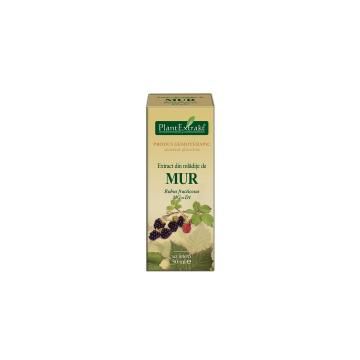 Extract din mladite de mur - rubus fructicosus mg=d1 50ml PLANTEXTRAKT