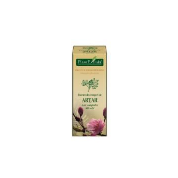 Extract din muguri de artar - acer campestre mg=d1 50ml PLANTEXTRAKT
