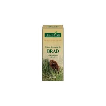Extract din muguri de brad - abies pectinata mg=d1 50ml PLANTEXTRAKT