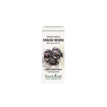 Extract din muguri de coacaz negru - ribes nigrum mg=d1 50ml PLANTEXTRAKT