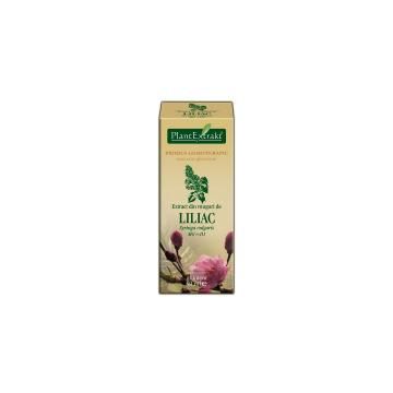 Extract din muguri de liliac - syringa vulgaris mg=d1 50ml PLANTEXTRAKT