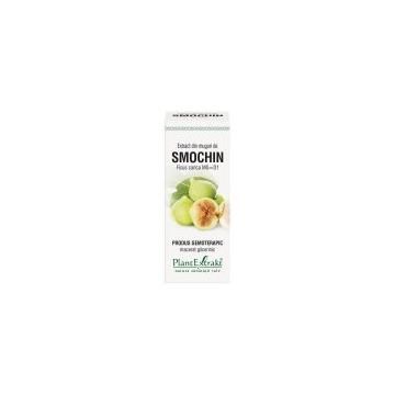 Extract din muguri de smochin - ficus carica mg=d1 50ml PLANTEXTRAKT