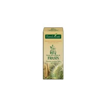 Extract din seminte de frasin - fraxinus excelsior semi mg=d1 50ml PLANTEXTRAKT